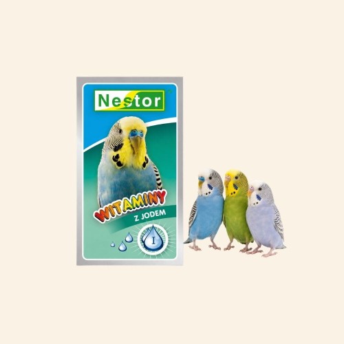 Sklep zdjęcia (1).jpg