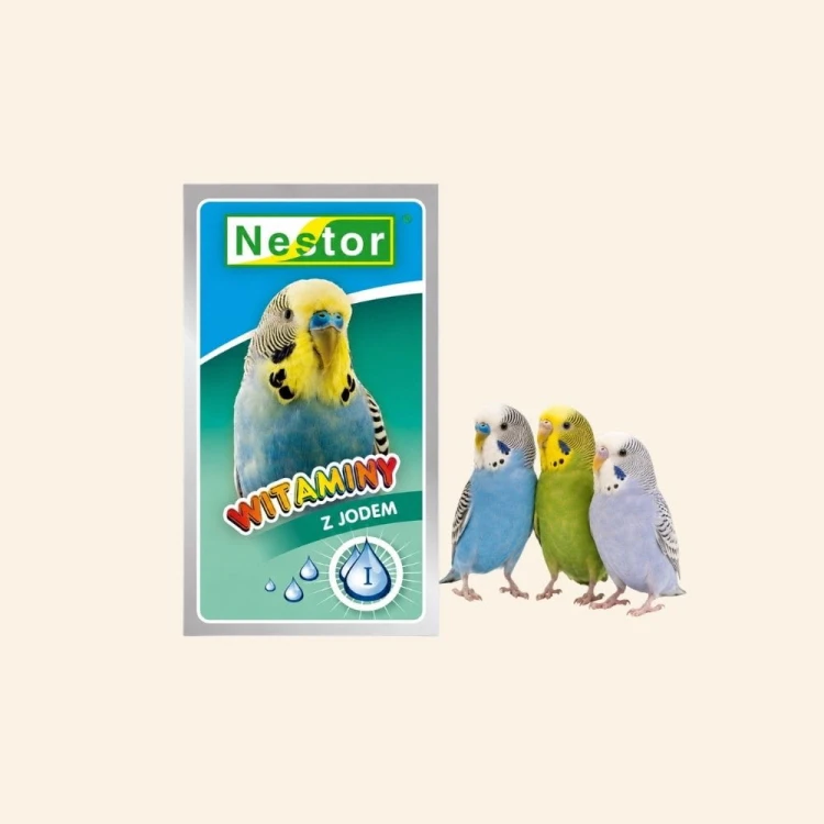 Sklep zdjęcia (1).jpg