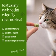 zupka_pies_borowka_24.webp