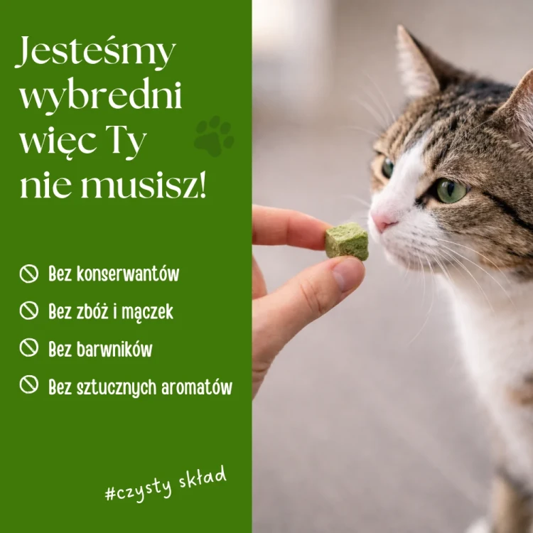 zupka_pies_borowka_24.webp