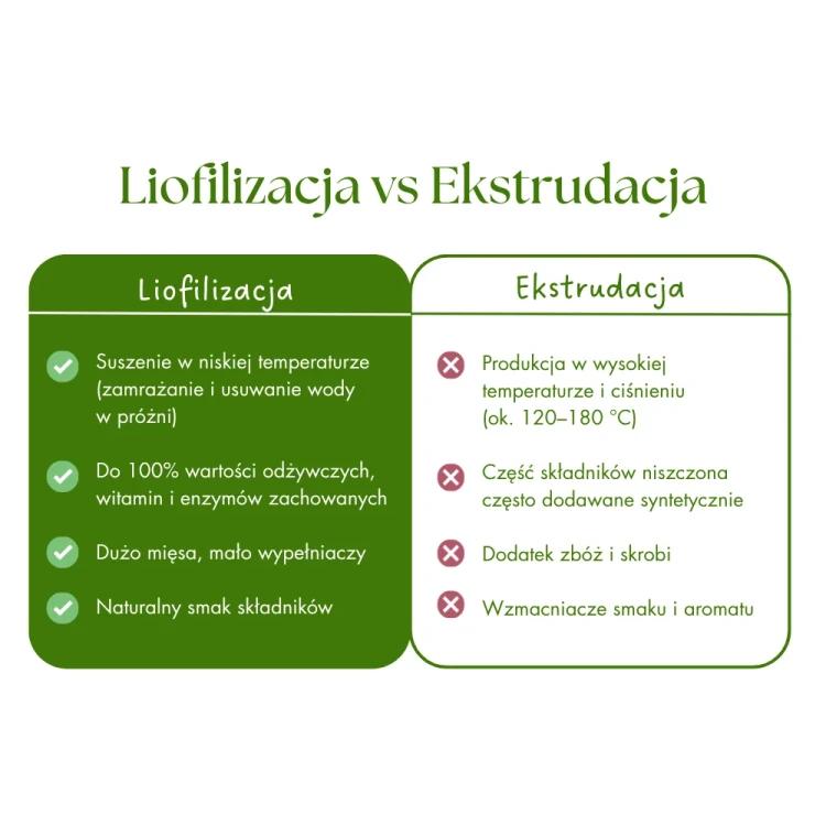 zupka_pies_borowka_6_61751b43-279b-4116-bc72-f68d95c6ed16.webp