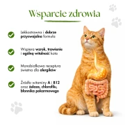 217.webp