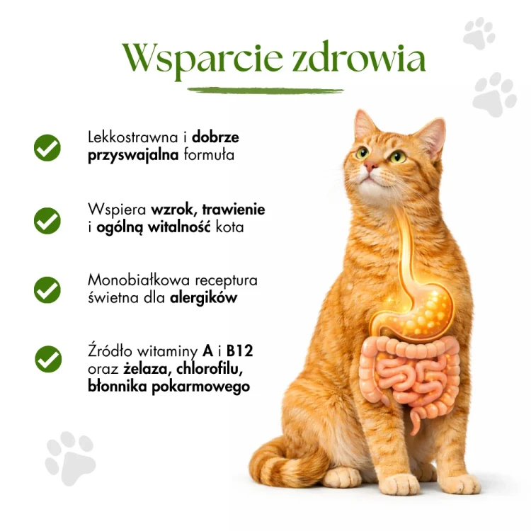 217.webp
