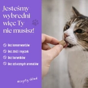 zupka_pies_borowka_20.webp