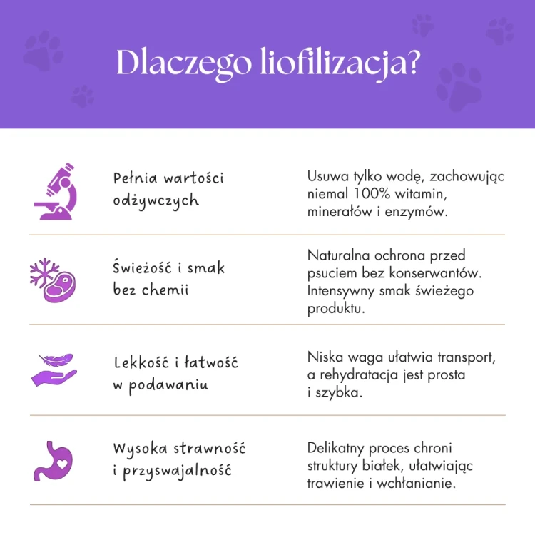 zupka_pies_borowka_22.webp