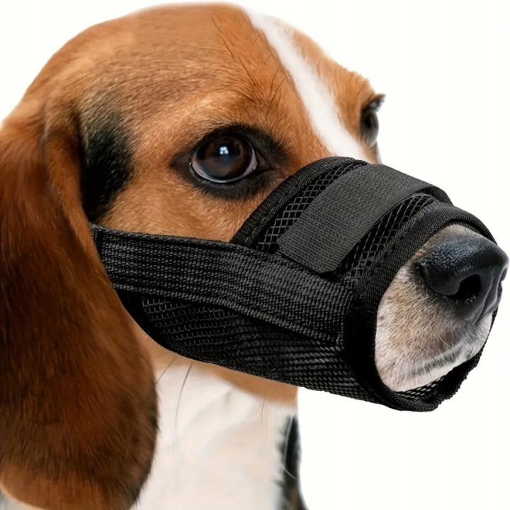 WOOFY-Kaganiec-materialowy-dla-psa-z-siatki-fizjologiczny-Rozmiar-M-Rodzaj-materialowy.jpeg