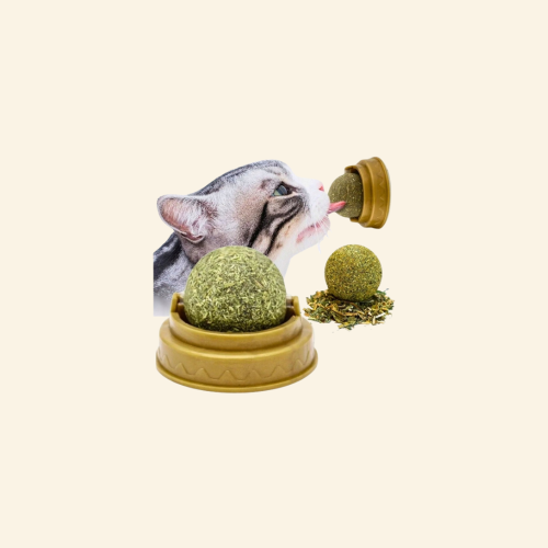 Sklep zdjęcia (19).png