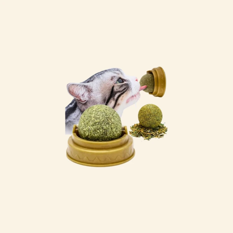 Sklep zdjęcia (19).png