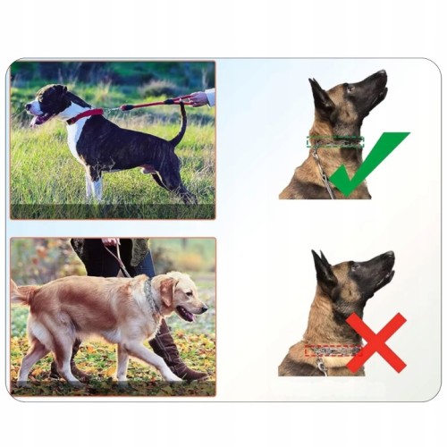 WOOFY-Bezpieczna-obroza-kolczatka-metalowa-stalowa-do-dla-psa-rozmiar-XXL-Zapiecie-klamra.jpeg