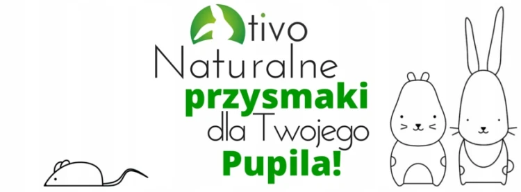 TIVO-Galazki-topinamburowe-100g-Naturalny-dodatek-do-diety-Marka-Tivo.jpeg