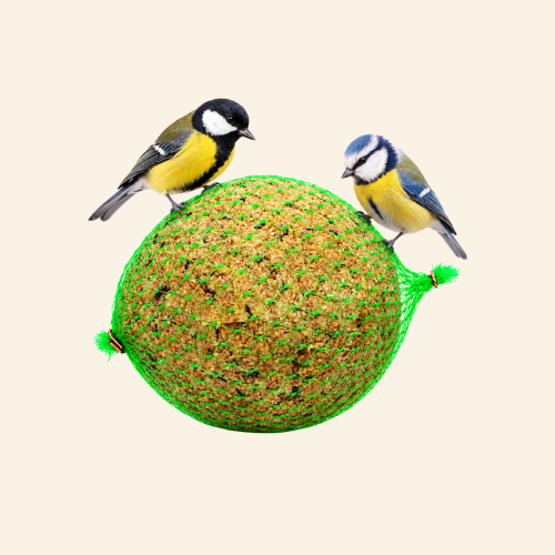 Sklep zdjęcia (38).png