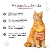 235.webp