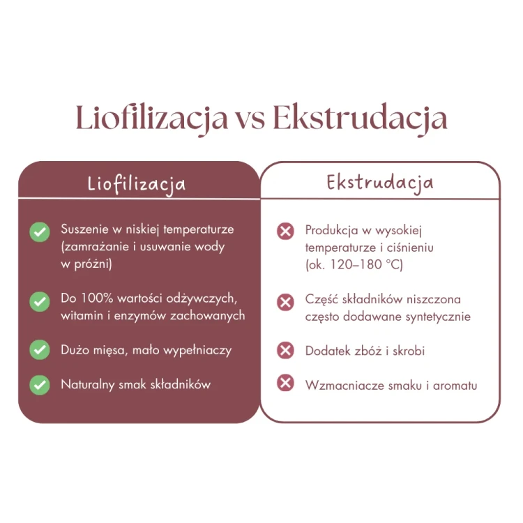 zupka_pies_borowka_8_ba4ba4cb-af23-4d5b-a31c-f5d9e87f4c1f.webp