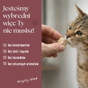 zupka_pies_borowka_32.webp