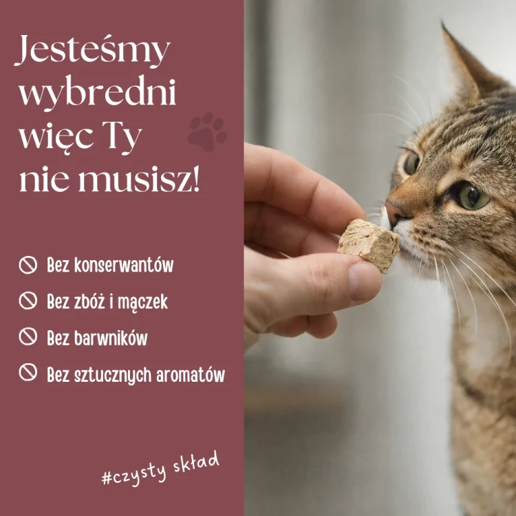 zupka_pies_borowka_32.webp