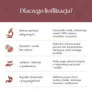 zupka_pies_borowka_34.webp
