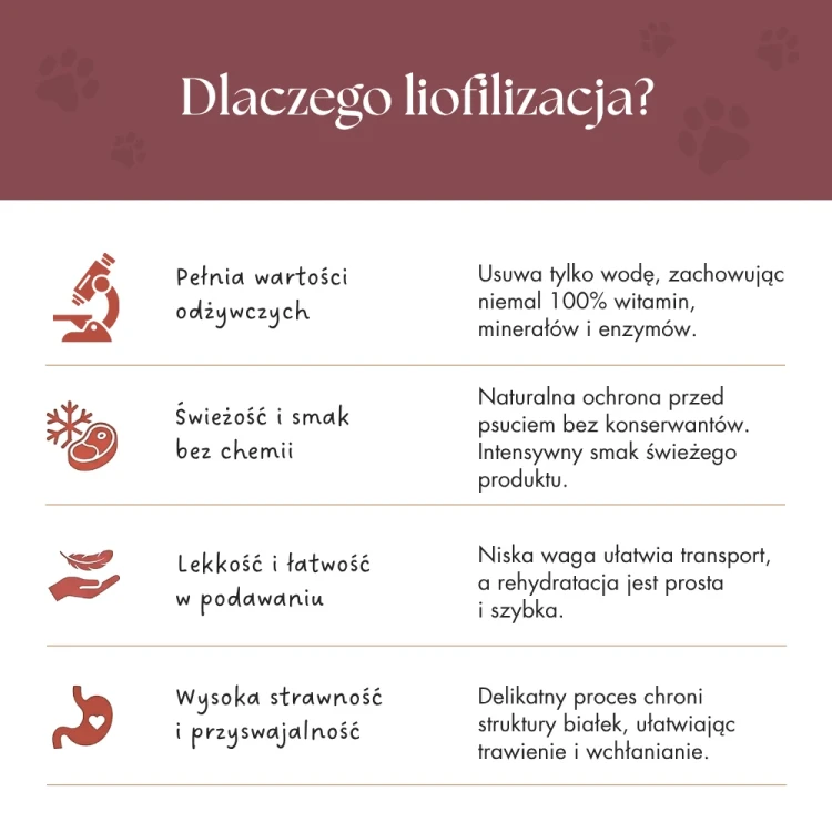 zupka_pies_borowka_34.webp
