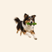 Sklep zdjęcia (6).png