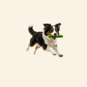 Sklep zdjęcia (9).png