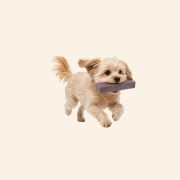 Sklep zdjęcia (11).png