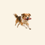 Sklep zdjęcia (15).png