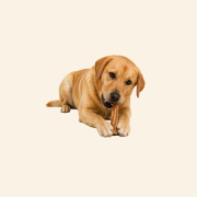 Sklep zdjęcia (25).png