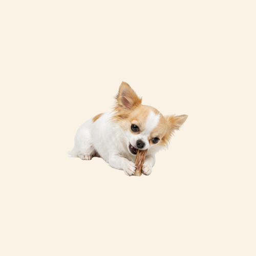Sklep zdjęcia (31).png