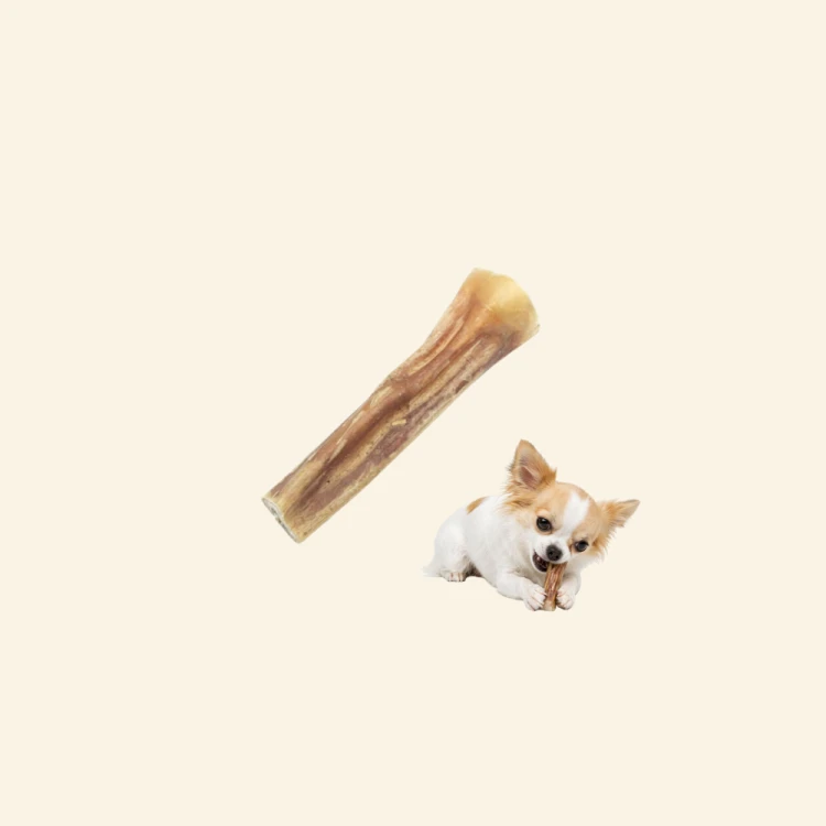 Sklep zdjęcia (48).png