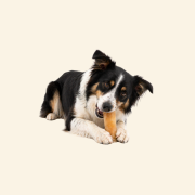 Sklep zdjęcia (51).png