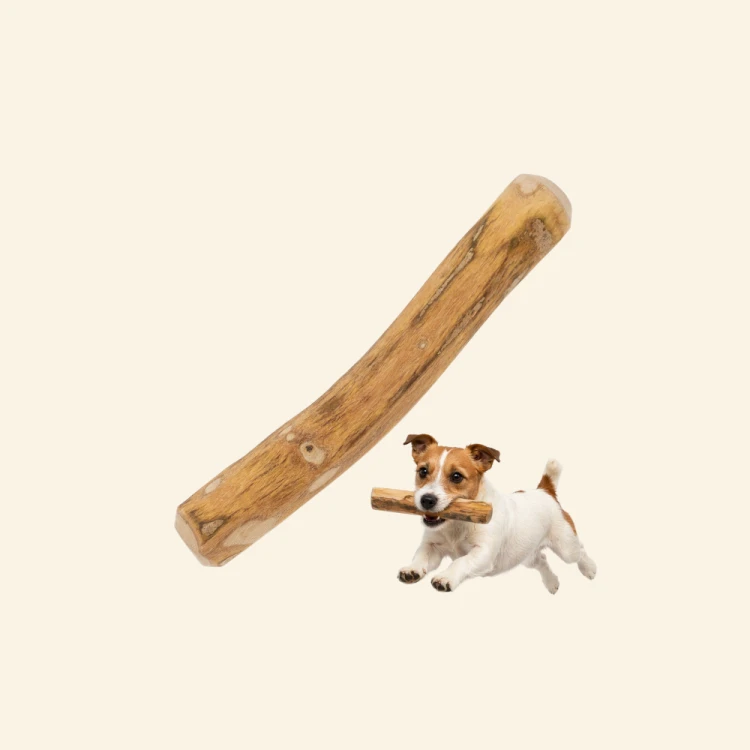 Sklep zdjęcia (67).png