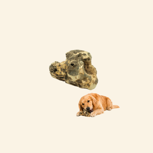 Sklep zdjęcia (71).png