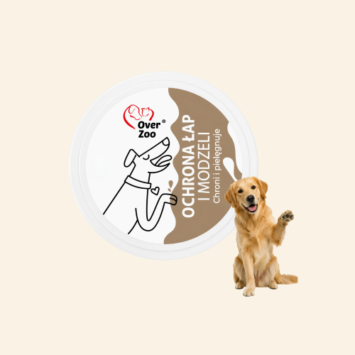 Sklep zdjęcia - 2026-05-28T121755.995.png