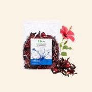 Hibiskus 2.jpg