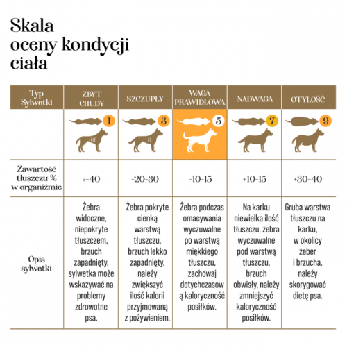 zoltko-przepiorcze-liofilizowane-dla-kota-i-psa-100g-1dc8891a448e4951893ea30dc628dee8-a16ca2bb.png