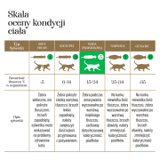 kurczak-z-lososiem-10g-kot-adult-cats-liofilizowana-karma-pelnoporcjowa-0ad3ec400d184642bedfa457fd2affbb-4fe57ccc.png