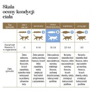 kaczka-z-jagniecina-10g-kot-adult-cats-liofilizowana-karma-pelnoporcjowa-026949f834424299a70dbe3f2e98cf87-dd880add.jpg