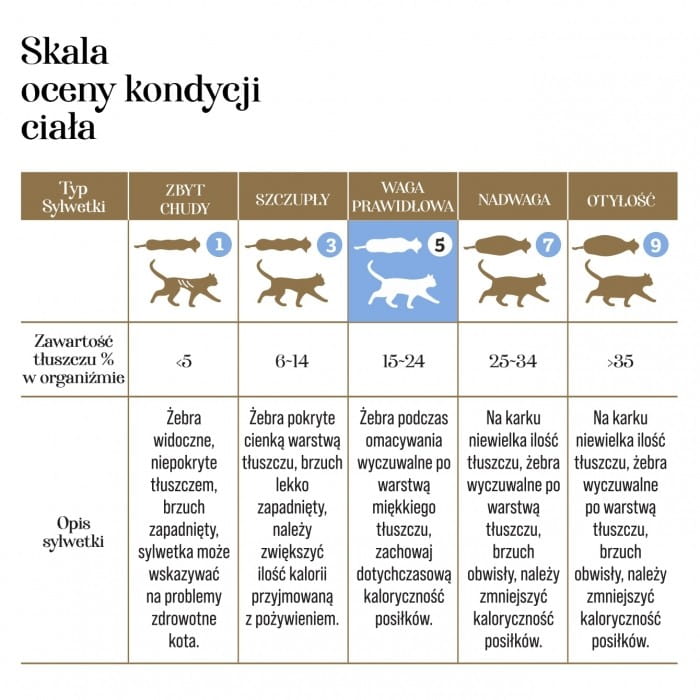 kaczka-z-jagniecina-10g-kot-adult-cats-liofilizowana-karma-pelnoporcjowa-026949f834424299a70dbe3f2e98cf87-dd880add.jpg