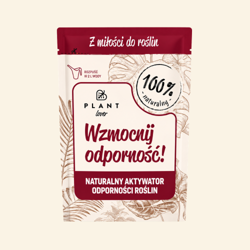 Sklep zdjęcia - 2026-05-29T091619.029.png