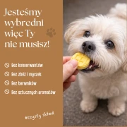 waflepies_6.webp