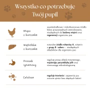 waflepies_3.webp
