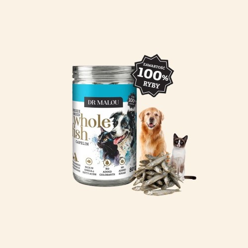 Sklep zdjęcia (1).jpg