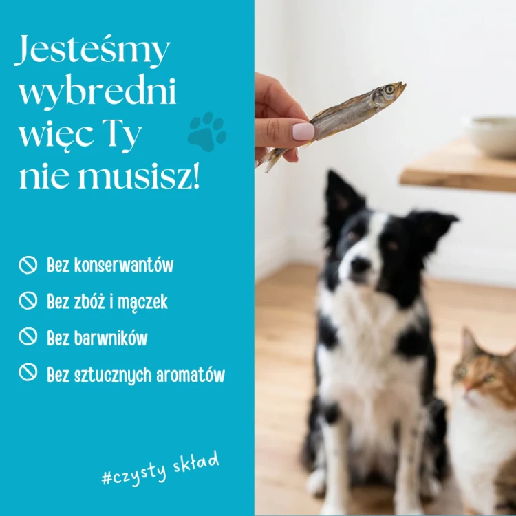 Rybcie3.webp