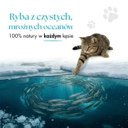 Rybcie6.webp