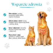 Rybcie4.webp