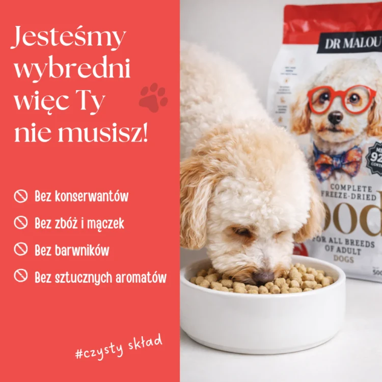 36.webp