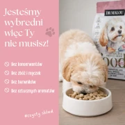28.webp