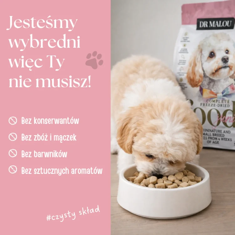 28.webp