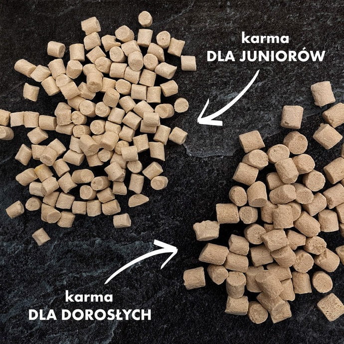 imgi_18_3.jpg