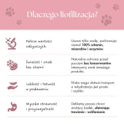 Karmadlapsakaczka_9.webp