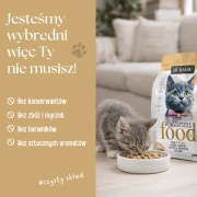 58.webp